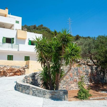 Aloe House Διαμέρισμα Pirgos  Εξωτερικό φωτογραφία
