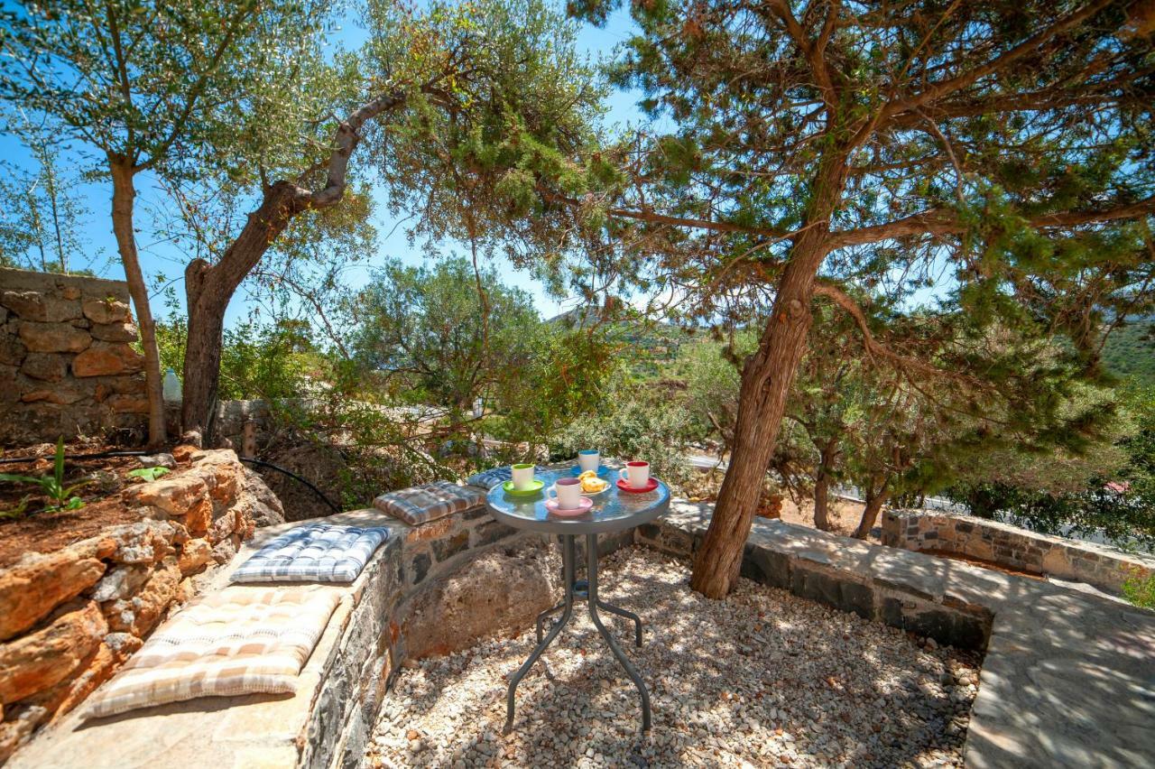 Aloe House Διαμέρισμα Pirgos  Εξωτερικό φωτογραφία